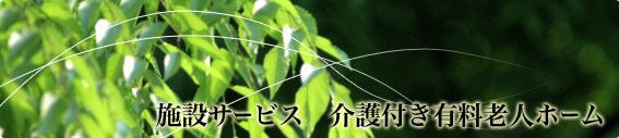 NG[wvu{݃T[rX@tLVlz[v