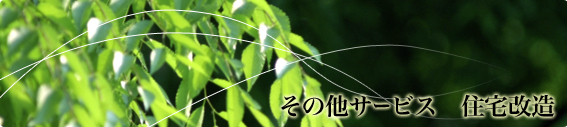NG[wvȗ̃T[rX@Zv