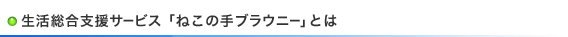 NG[wvuxT[rX (˂̎uEj[)Ƃ́v